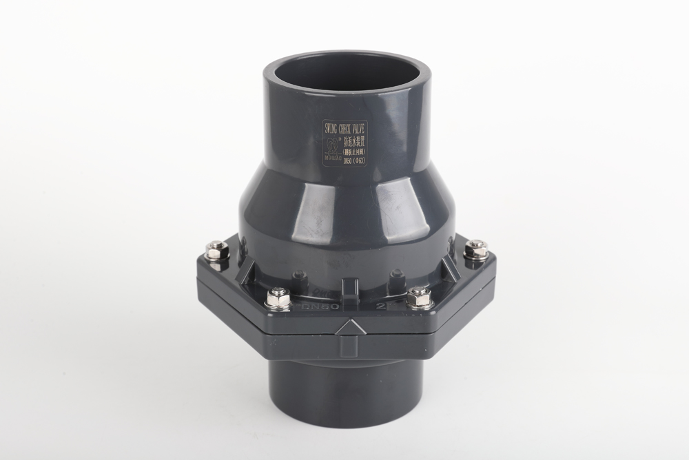 延边朝鲜族翻板式止回阀