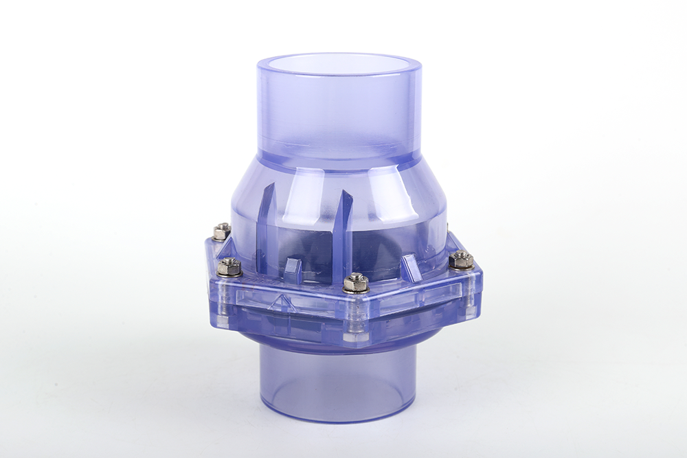 延边朝鲜族透明翻板式止回阀